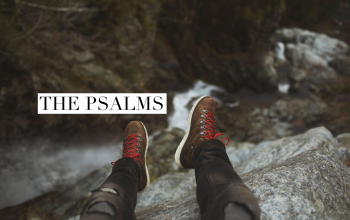 The Psalms